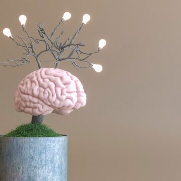 Gelişim Zihniyetini Yaşatmak Onu Beslemekle Mümkün